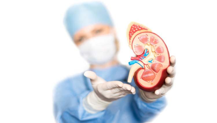 Diabetic-Nephropathy