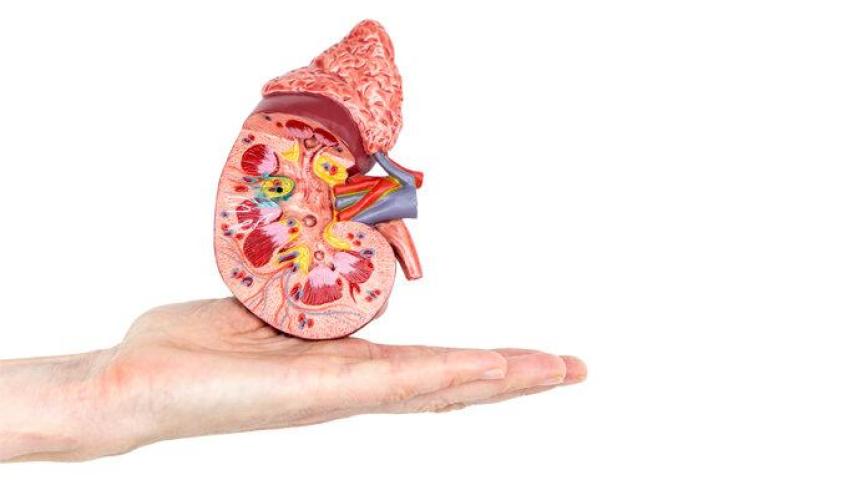 نفروپاتی دیابتی چیست؟