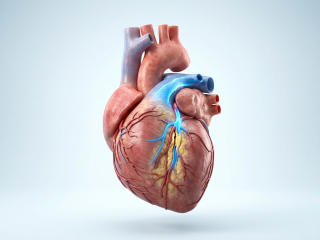 آنژیوگرافی و آنژیوپلاستی